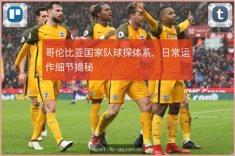 哥伦比亚国家队球探体系，日常运作细节揭秘